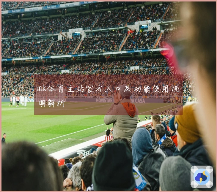 mk体育主站官方入口及功能使用说明解析