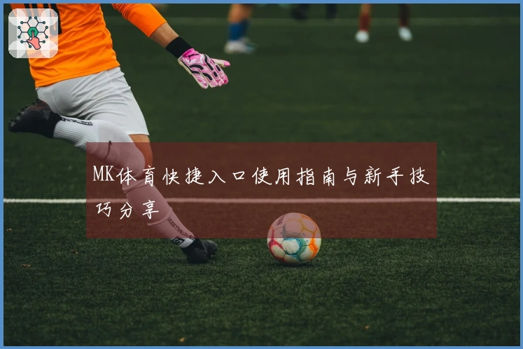 MK体育快捷入口使用指南与新手技巧分享