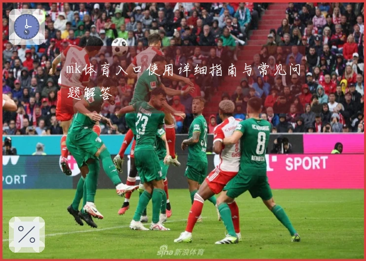 mk体育入口使用详细指南与常见问题解答