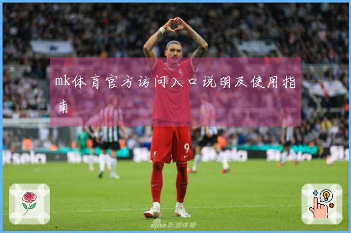 mk体育官方访问入口说明及使用指南
