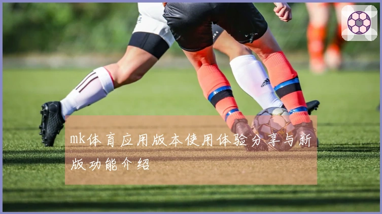 mk体育应用版本使用体验分享与新版功能介绍